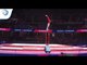 Svjatoslav SOLOVJEV (CZE) - 2018 Artistic Gymnastics Europeans, qualification high bar