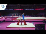 Petro PAKHNIUK (UKR) - 2018 Artistic Gymnastics Europeans, qualification pommel horse