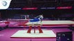 Axel AUGIS (FRA) - 2018 Artistic Gymnastics Europeans, qualification pommel horse