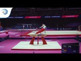 Andreas TOBA (GER) - 2018 Artistic Gymnastics Europeans, qualification pommel horse