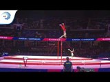 Ovidiu PRICHINDEL (ROU) - 2018 Artistic Gymnastics Europeans, qualification high bar