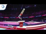 Denisa GOLGOTA (ROU) - 2018 Artistic Gymnastics Europeans, qualification vault
