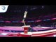 Vera VAN POL (NED) - 2018 Artistic Gymnastics Europeans, qualification vault