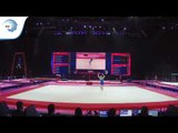 Oleksandr PETRENKO (UKR) - 2018 Artistic Gymnastics Europeans, qualification floor