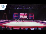 Ahmet ONDER (TUR) - 2018 Artistic Gymnastics Europeans, qualification floor