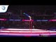 Martin GUDMUNDSSON (ISL) - 2018 Artistic Gymnastics Europeans, junior qualification horizontal bar