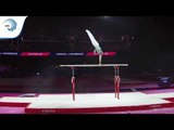 Petro PAKHNIUK (UKR) - 2018 Artistic Gymnastics Europeans, parallel bars final