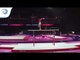Jose NOGUEIRA (POR) - 2018 Artistic Gymnastics Europeans, junior qualification parallel bars