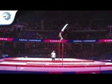 Krisztofer MESZAROS (HUN) - 2018 Artistic Gymnastics Europeans, junior qualification horizontal bar