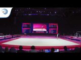 Lisa ZIMMERMANN (GER)   2018 Artistic Gymnastics Europeans, junior qualification floor