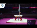 Petro PAKHNIUK (UKR) - 2018 Artistic Gymnastics Europeans, pommel horse final