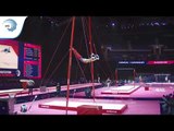 Adam TOBIN (GBR) - 2018 Artistic Gymnastics Europeans, junior qualification rings