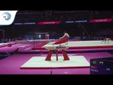 Bora TARHAN (TUR) - 2018 Artistic Gymnastics Europeans, junior qualification pommel horse