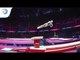 Daniela TRICA (ROU) - 2018 Artistic Gymnastics Europeans, junior qualification vault