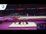 Bidzina SITCHINAVA (GEO) - 2018 Artistic Gymnastics Europeans, junior qualification pommel horse