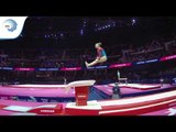 Elena USAKOVA (SVK) - 2018 Artistic Gymnastics Europeans, junior qualification vault