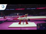 Jorge RUBIO (ESP) - 2018 Artistic Gymnastics Europeans, junior qualification pommel horse