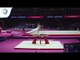 Justin PESESSE (BEL) - 2018 Artistic Gymnastics Europeans, junior qualification pommel horse