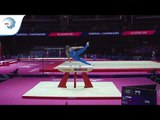 Sven JUG (SLO) - 2018 Artistic Gymnastics Europeans, junior qualification pommel horse