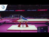 Anze HRIBAR (SLO) - 2018 Artistic Gymnastics Europeans, junior qualification pommel horse