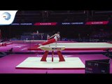 Theodor HOEFER (AUT) - 2018 Artistic Gymnastics Europeans, junior qualification pommel horse
