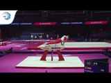 Florian SCHMIDLE (AUT) - 2018 Artistic Gymnastics Europeans, junior qualification pommel horse