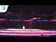 Levan SKHILADZE (GEO) - 2018 Artistic Gymnastics Europeans, junior qualification horizontal bar