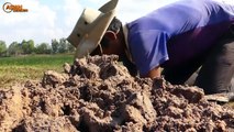 Primitive Technology!  Easy Crocodile Trap Using Deep hole Fish