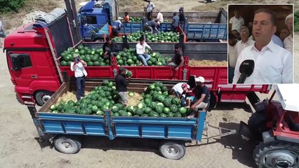 Karpuzun Fiyatı, Çiftçinin Yüzü Düştü