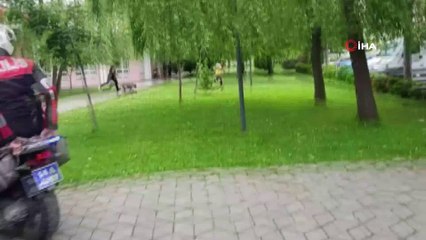 Polis ile köpek hırsızları arasında kovalamaca
