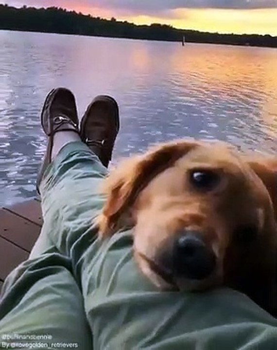 Quand ton meilleur ami est un chien, voici ce que ça donne !