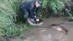 Un brésilien inconscient joue avec un anaconda