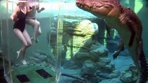 2 filles nagent avec des alligators... Impressionnant