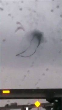 Il pense que c'est un nuage mystérieux dans le ciel mais c'est une tornade d'oiseau