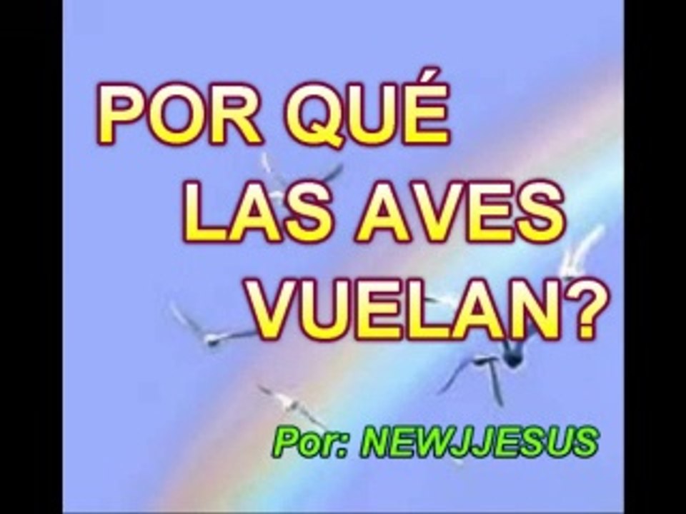 ¿POR QUÉ LAS AVES VUELAN?