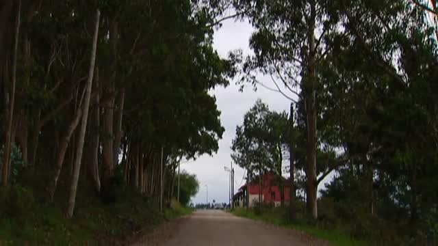 El 80 % de los municipios en zonas de alto riesgo de incendios carece de plan de emergencias