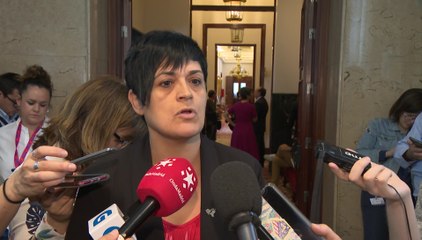 Bildu pide que una reforma "cosmética" no es la solución