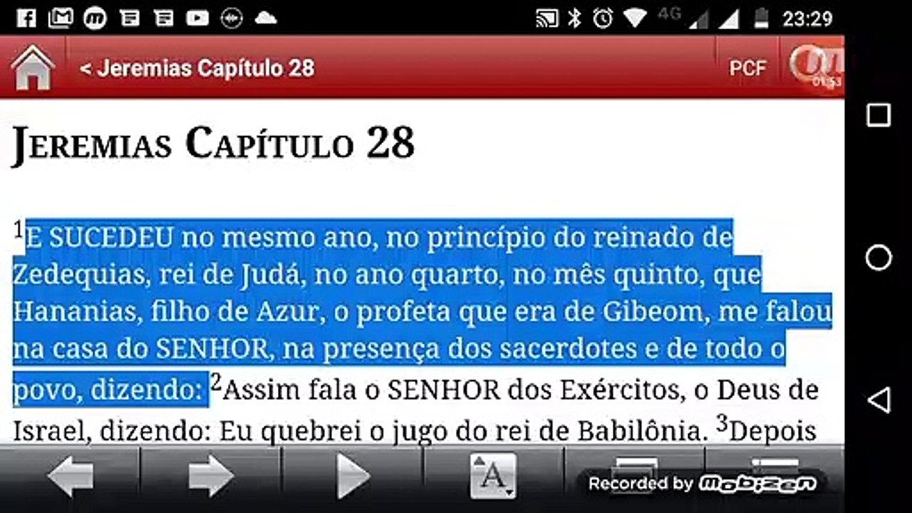 JEREMIAS 28