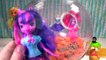 My Little Pony MLP Equestria Girls with  Toys