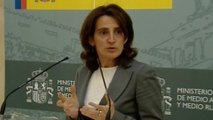 Teresa Ribera acepta ser ministra de Transición Energética