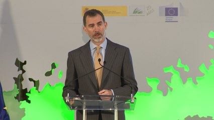Rey Felipe VI insiste en lo necesario para tener "un futuro sostenible"