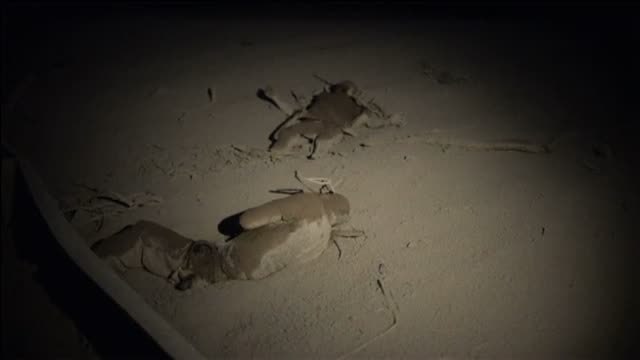 Se eleva a 31 la cifra de muertos por la erupción del volcán de Fuego en Guatemala