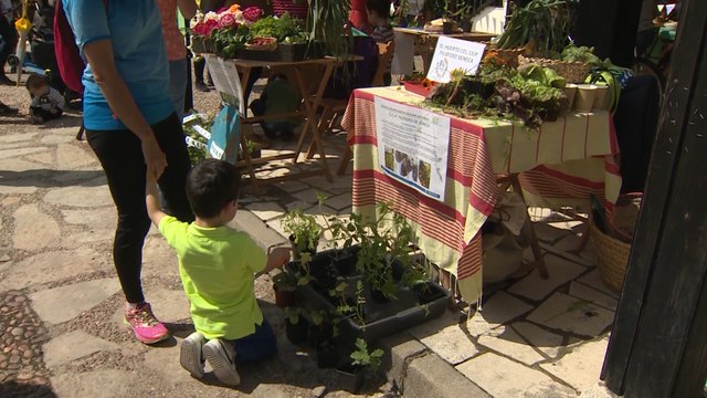 Madrid acoge la Fiesta de Huertos Escolares