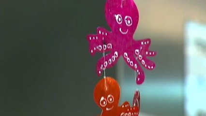 El  pulpo gallego por las nubes