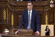 Sánchez le tiende la mano al diputado de Nueva Canaria