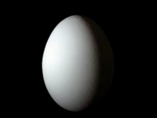 AftertheHand film d'animation teaser 001 "egg" animated film