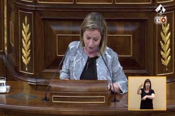 Oramas: "La moción no se presenta por el bien de España"