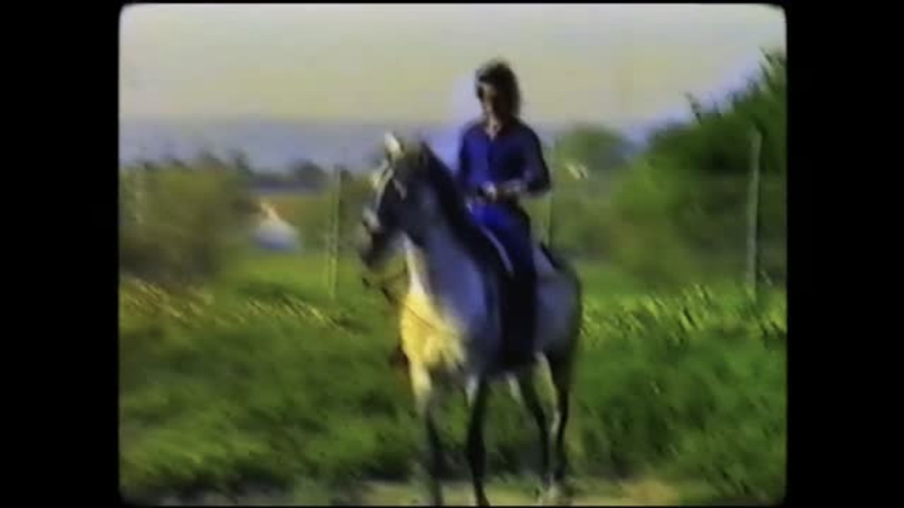 "Camarón: Flamenco y revolución"