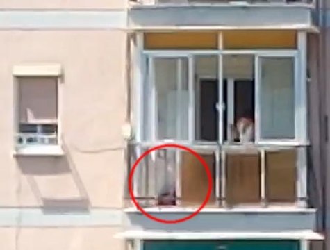 Maltrato a un perro en Sant Adrià del Besós (Barcelona) II