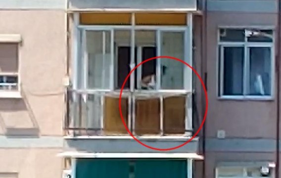 Maltrato a un perro en Sant Adrià del Besós (Barcelona) I